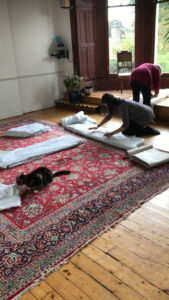 Cutting out old duvets