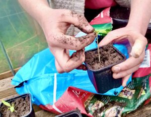 Weekly Open Community Garden Session - Bird Survey Week!